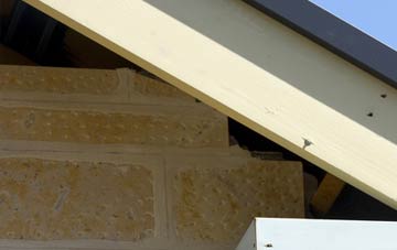 soffit repair Bargarran