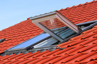 Bargarran roof window