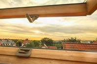 rated Bargarran roof window companies